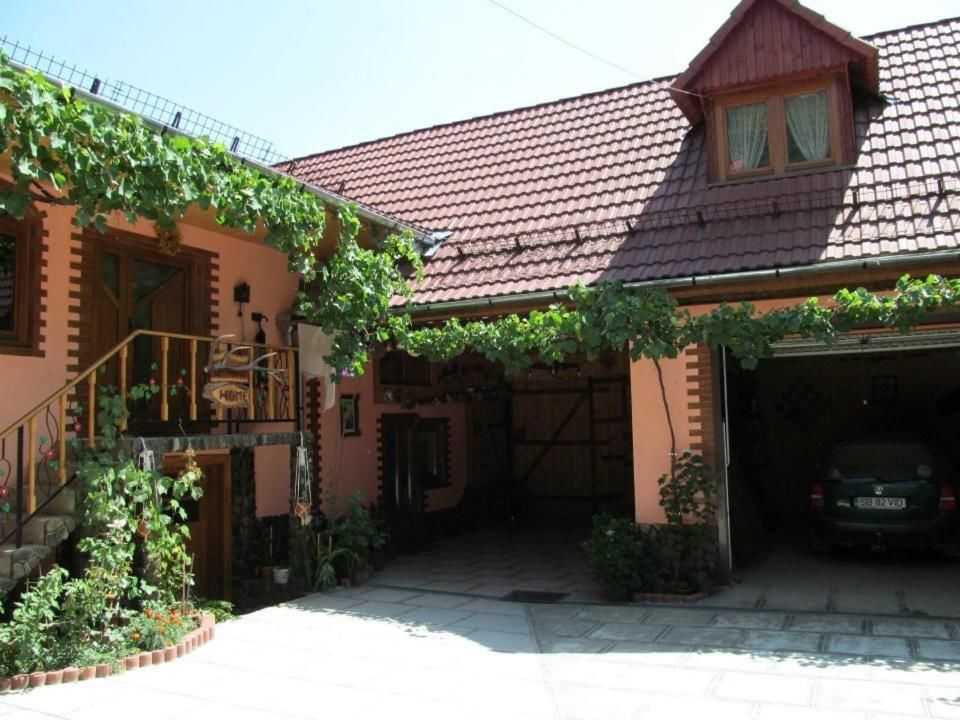 Гостевой дом Casa de vacanta Vidrighin Rau Sadului-15