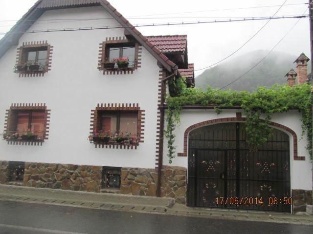 Гостевой дом Casa de vacanta Vidrighin Rau Sadului-5