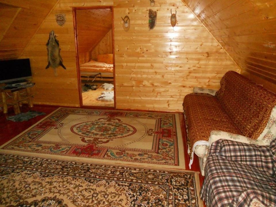 Гостевой дом Casa de vacanta Vidrighin Rau Sadului