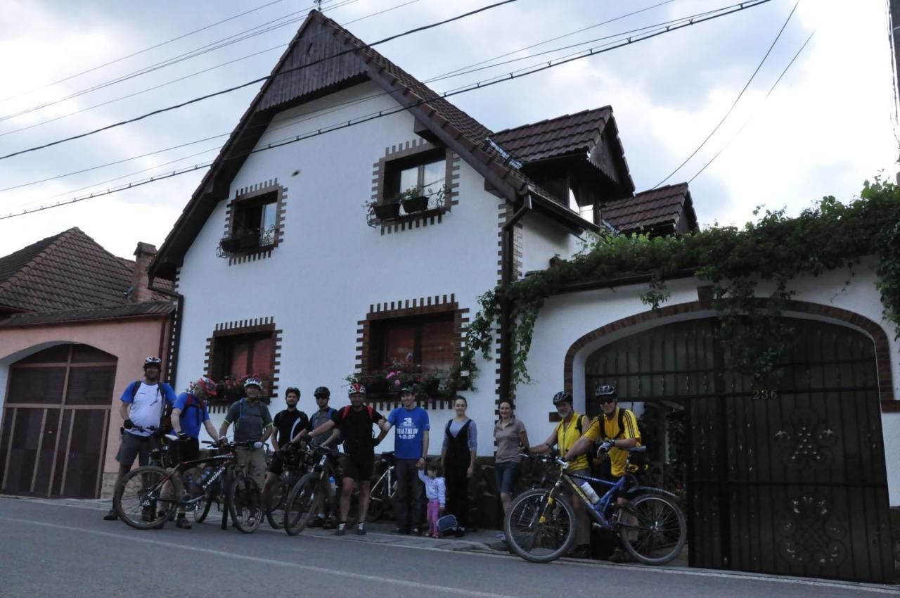 Гостевой дом Casa de vacanta Vidrighin Rau Sadului