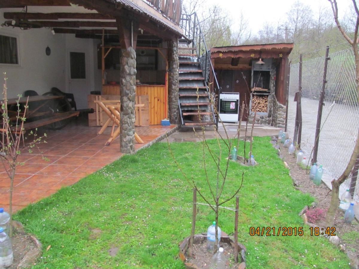 Гостевой дом Casa de vacanta Vidrighin Rau Sadului-43