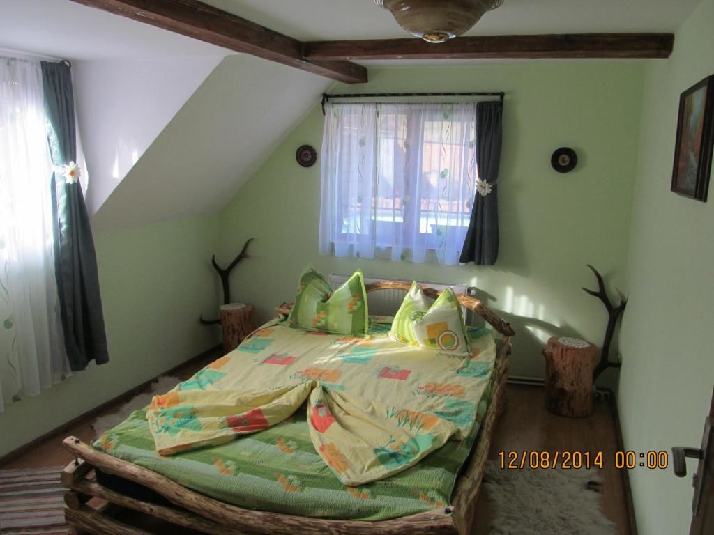 Гостевой дом Casa de vacanta Vidrighin Rau Sadului-49