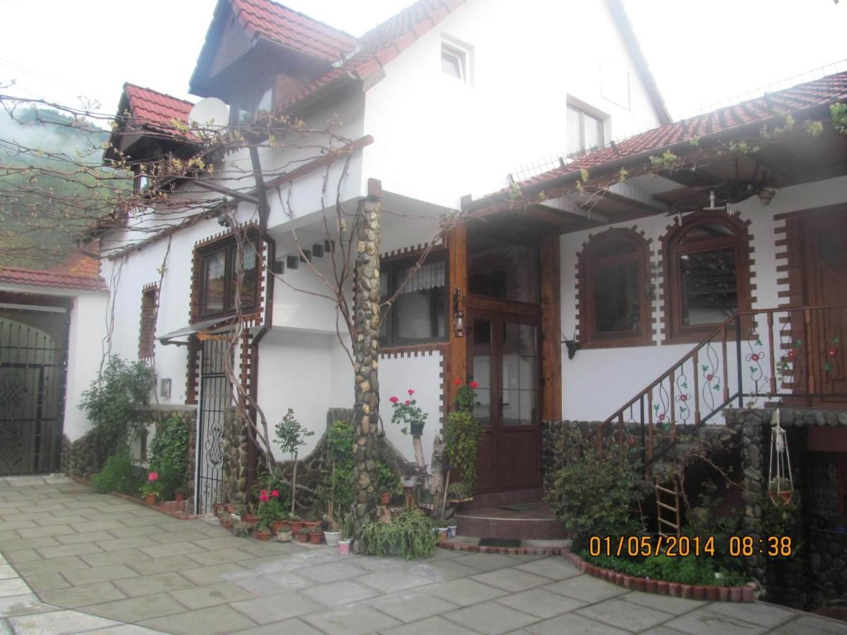 Гостевой дом Casa de vacanta Vidrighin Rau Sadului-12