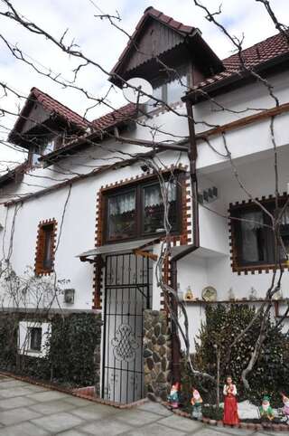 Гостевой дом Casa de vacanta Vidrighin Rau Sadului Дом для отпуска-3