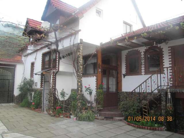 Гостевой дом Casa de vacanta Vidrighin Rau Sadului-11